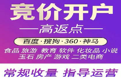 行业领先企业的百度竞价代运营经验分享