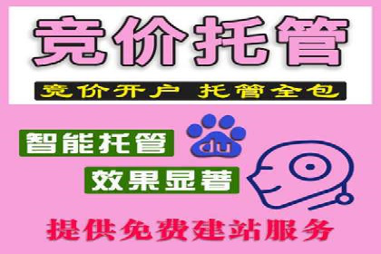 成功案例：SEM竞价代运营助力企业实现持续增长